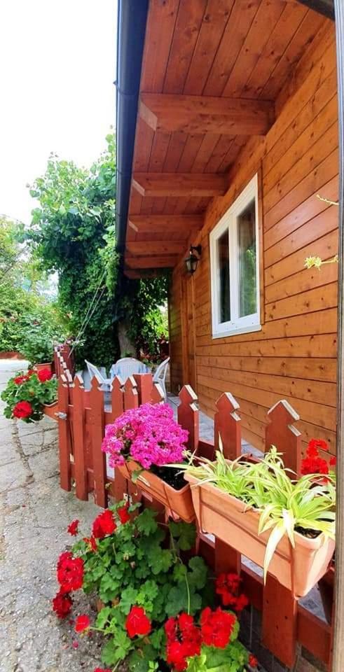 Hotel Camping Onda Azzurra à Ortona Extérieur photo